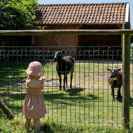 Hoeve De Binnenplaets Schimmert Zewnętrze zdjęcie
