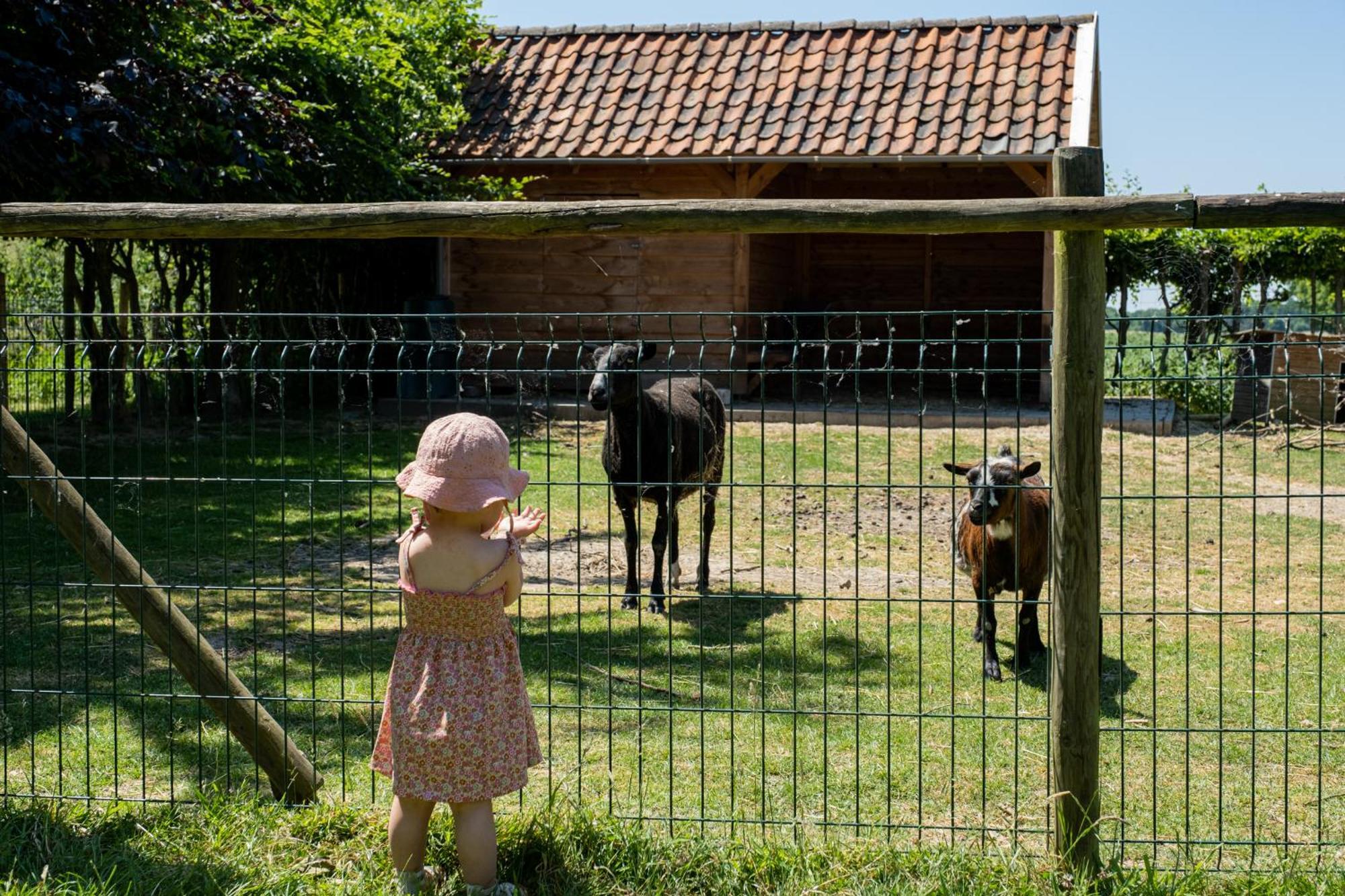 Hoeve De Binnenplaets Schimmert Zewnętrze zdjęcie